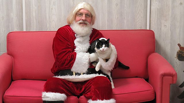 père Noël avec chat