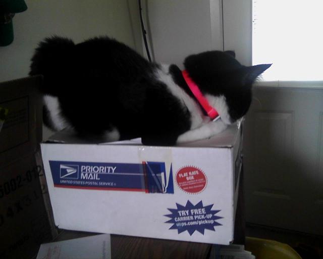 chat sur boîte postale